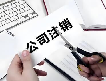 营业执照怎么注销网上申请流程：轻松掌握，快速完成